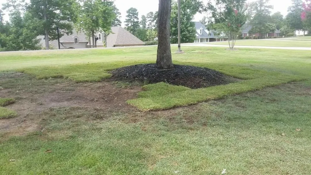 Expert landscape design experts serving West Monroe, LA - Tony Gregory