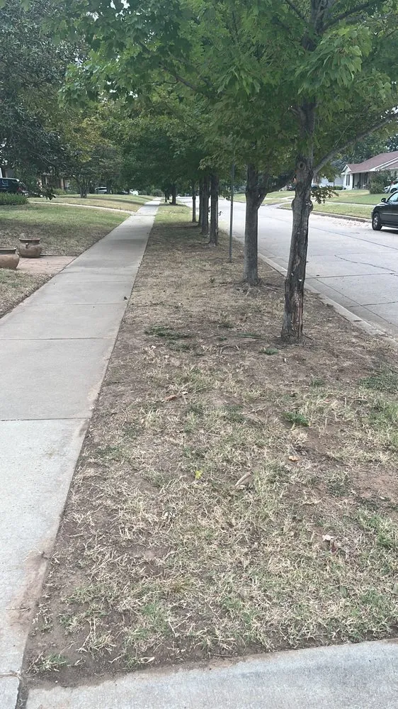 Local landscape design for year-round maintenance across Spencer, OK - Tony Landscaping Service