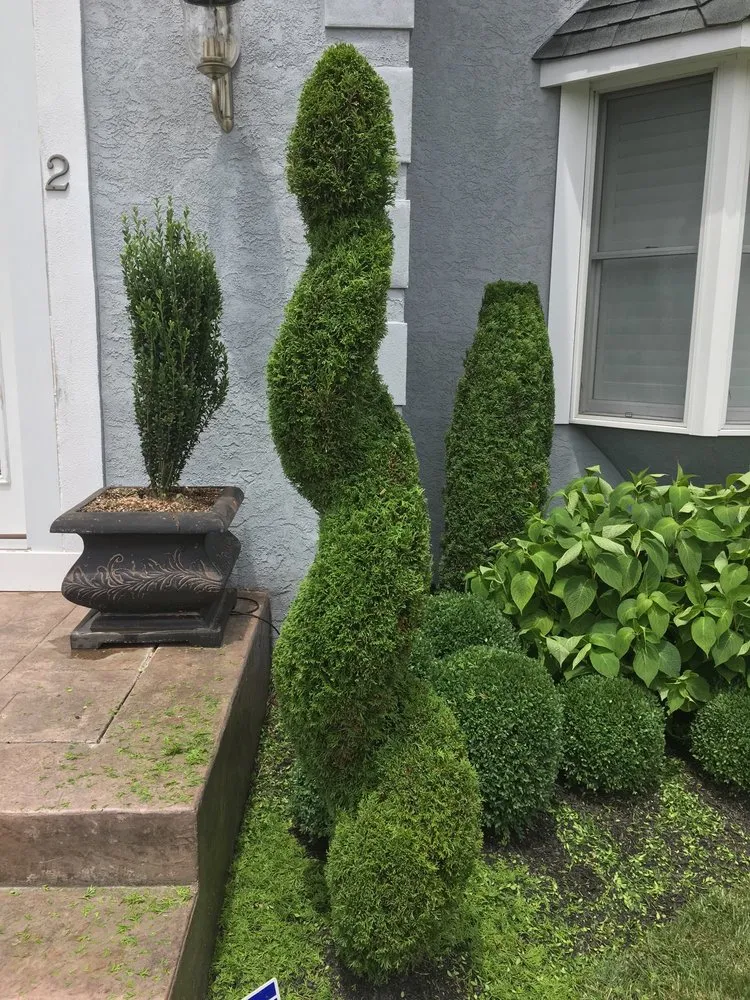 Trusted landscaping services experts serving Voorhees, NJ - Tony Landscaping