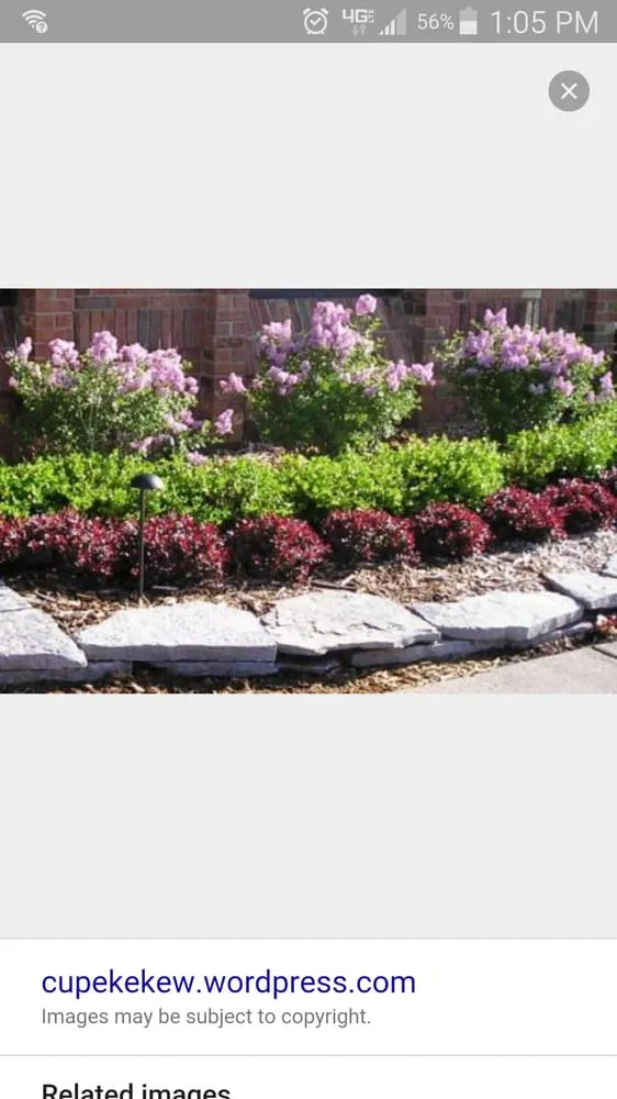 Custom landscape installation in Stevensville, MD by Tony Lawn & Landscape