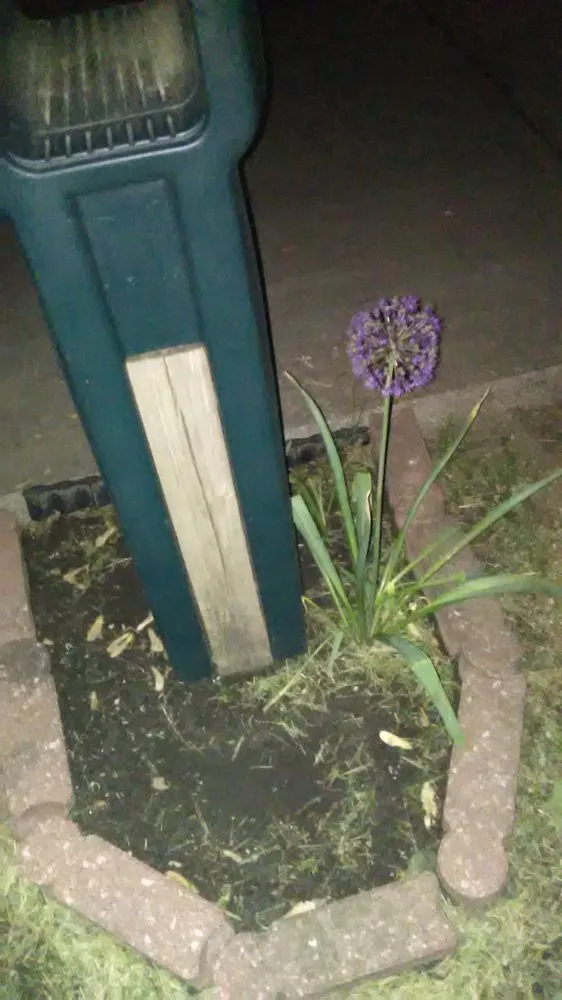 Expert yard cleanup service for beautiful yards in Des Moines, IA by Tony Lawn Care