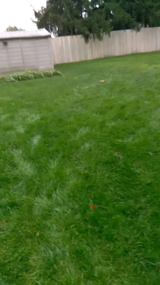 Top-rated residential landscaping in Des Moines, IA - Tony Lawn Care