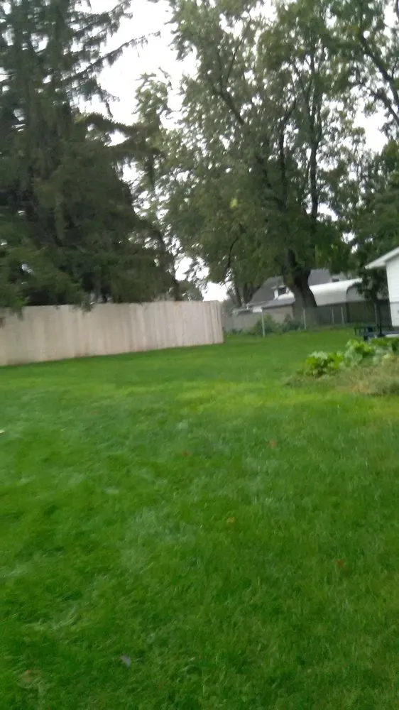 Top-rated yard cleanup service in Des Moines, IA by Tony Lawn Care