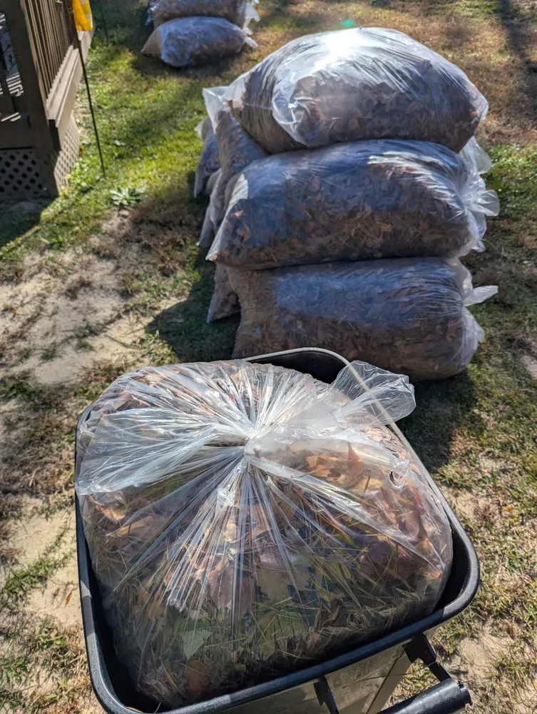 Top-rated yard cleanup service in Columbia, SC - Tony Macaroni Landscaping