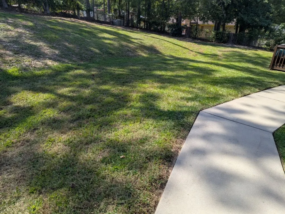 Affordable garden landscaping in Columbia, SC - Tony Macaroni Landscaping