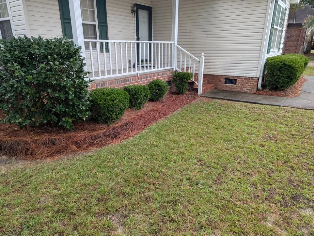 Professional garden landscaping with custom design in Columbia, SC by Tony Macaroni Landscaping