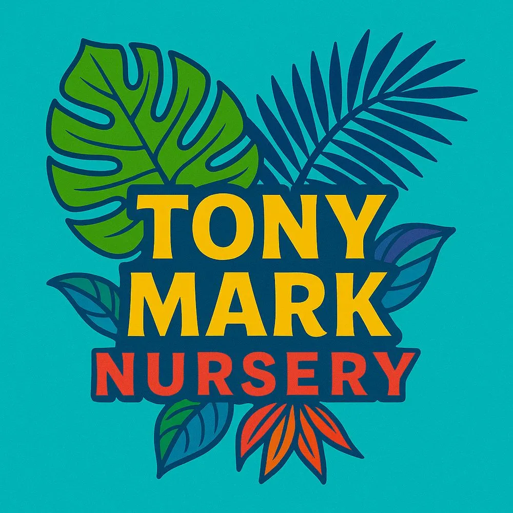 Trusted yard cleanup service for residential properties across Marshall, TX - Tony Mark Nursery