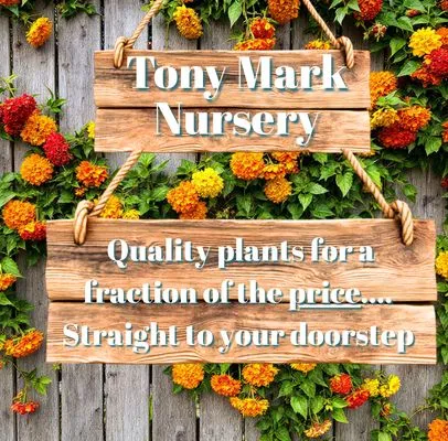 Tony Mark Nursery
