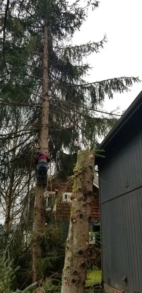 Trusted landscape installation experts serving Belfair, WA - Tony Marques Landscaping And General Contractor