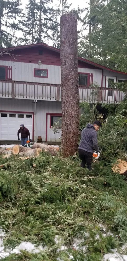 Local outdoor landscaping for outdoor upgrades across Belfair, WA - Tony Marques Landscaping And General Contractor