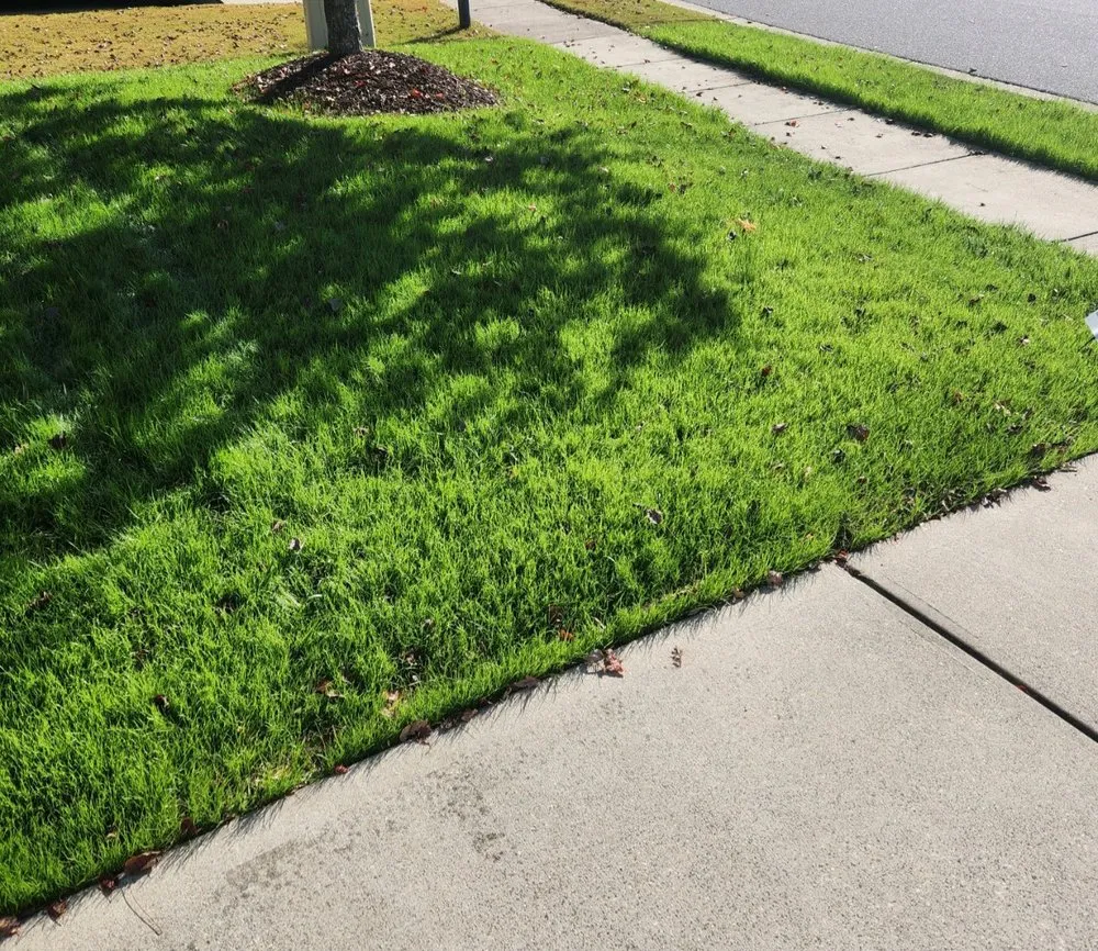 Top-rated landscaping services for beautiful yards in Lake Park, NC by Tony Oneal Lawn Care