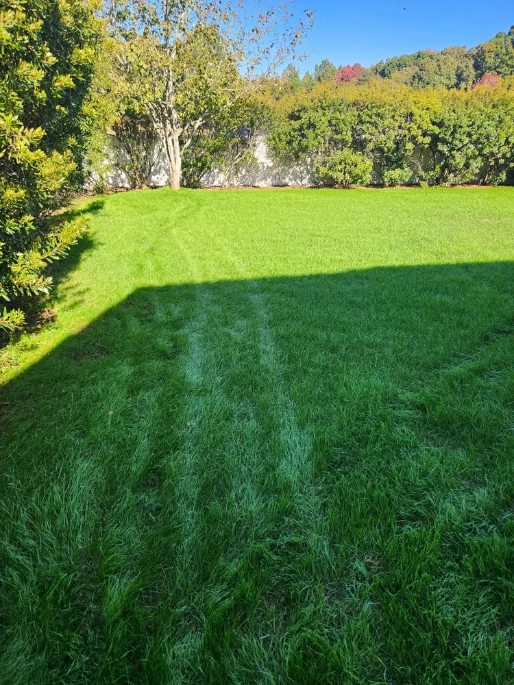 Top-rated yard maintenance for outdoor upgrades across Lake Park, NC - Tony Oneal Lawn Care