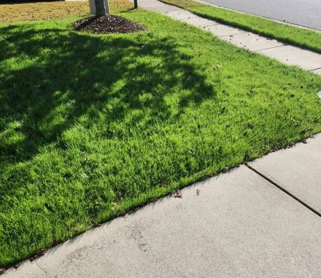 Tony Oneal Lawn Care Logo