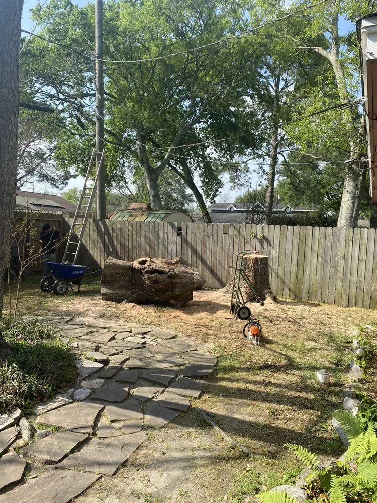 Reliable yard maintenance for beautiful yards across Baytown, TX - Tony Ray Lawn & Tree Crew