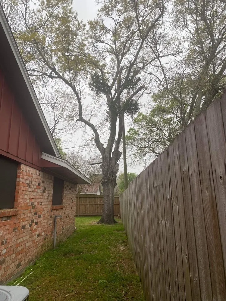 Custom residential landscaping in Baytown, TX by Tony Ray Lawn & Tree Crew
