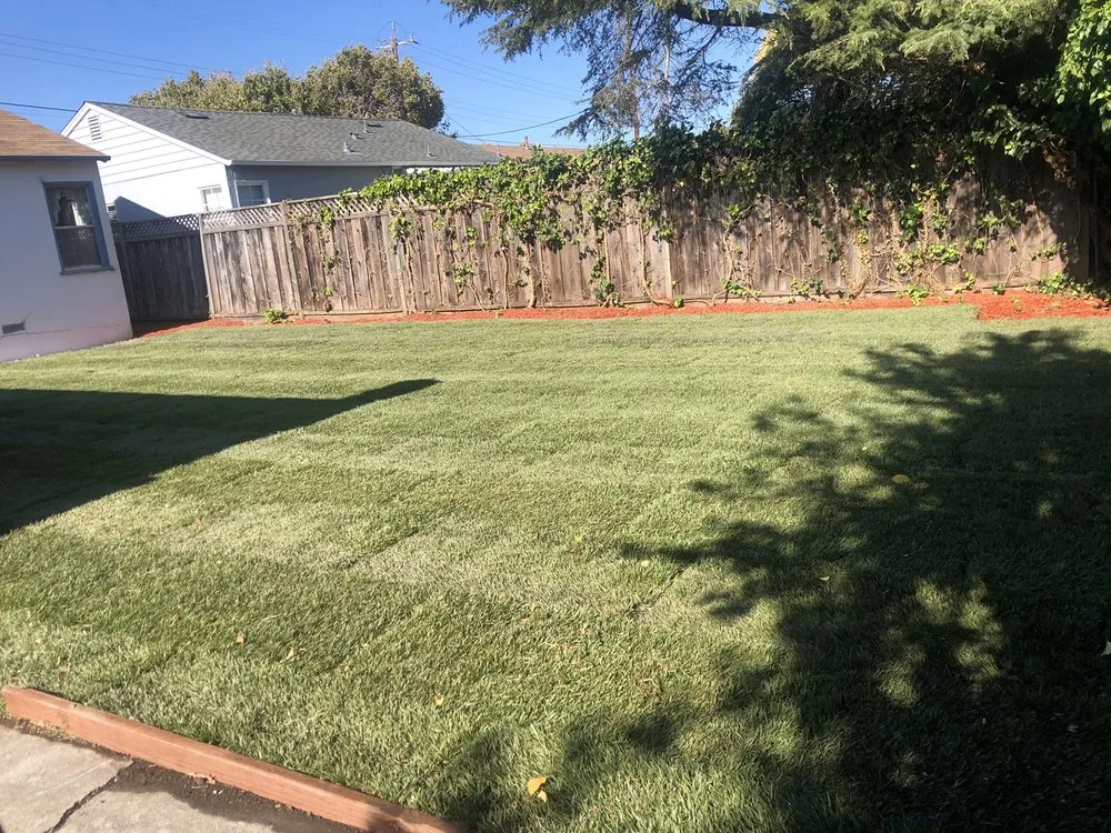 Affordable residential landscaping for homes in San Leandro, CA by Tony Roman
