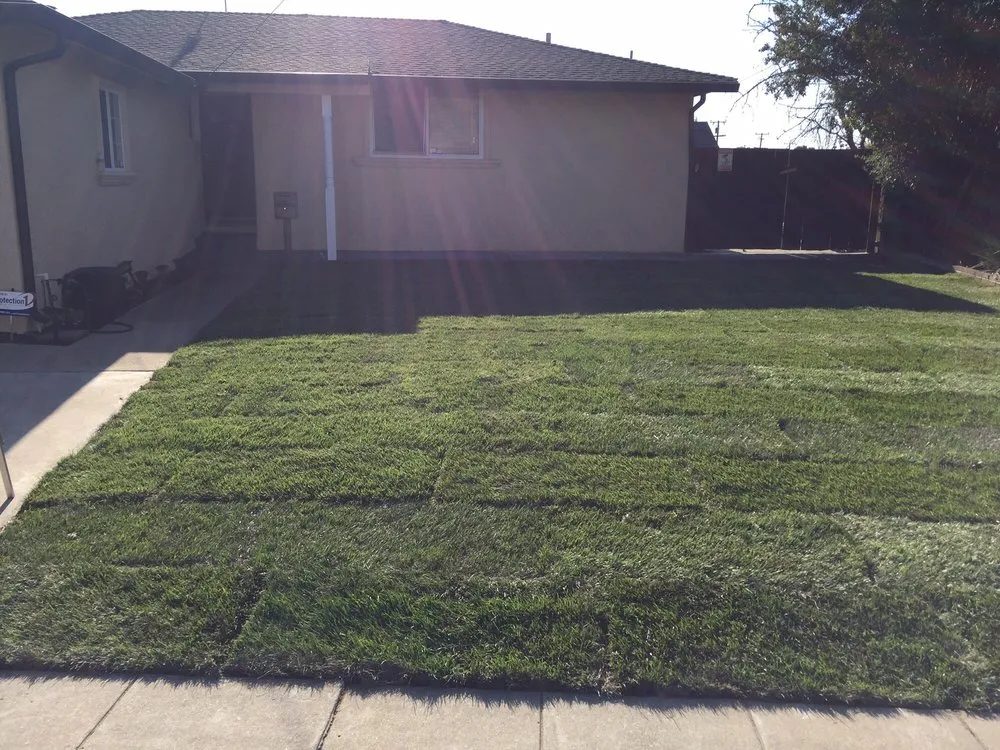 Professional garden landscaping experts serving San Leandro, CA - Tony Roman