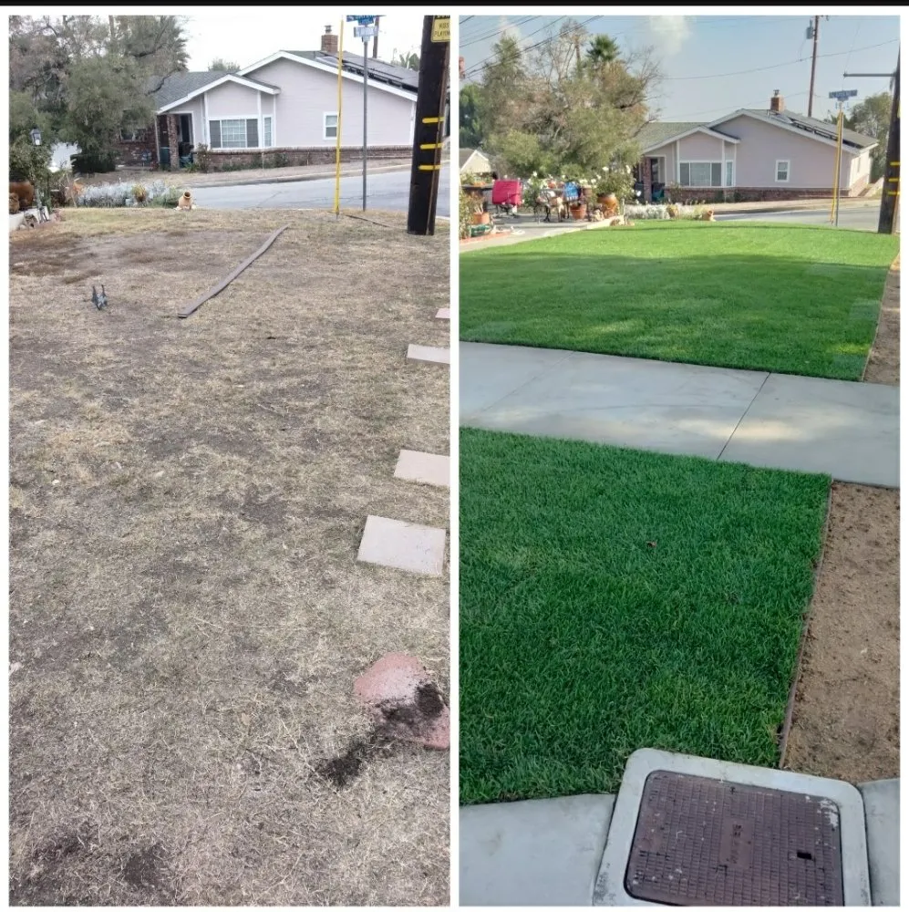Top-rated garden landscaping in Compton, CA by Tony Sandoval Landscaping