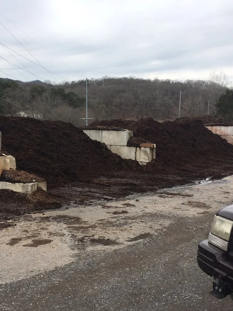 Trusted yard cleanup service experts serving Franklin, NC - Tony Shuler Grading and Mulch