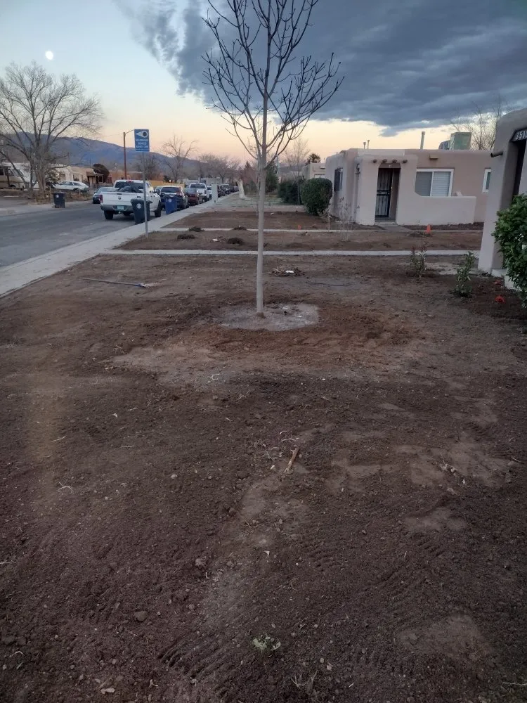 Professional garden landscaping for homes across Albuquerque, NM - Tony Soto