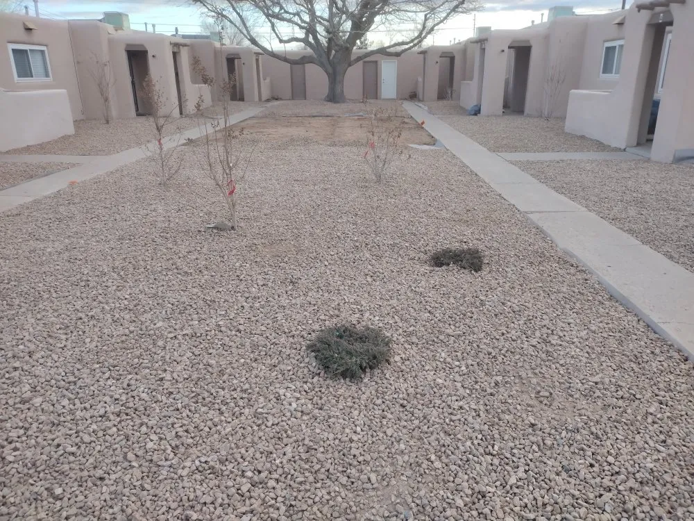 Professional outdoor landscaping for residential properties in Albuquerque, NM by Tony Soto