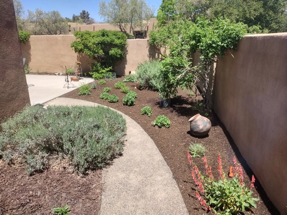 Professional outdoor landscaping in Albuquerque, NM - Tony Soto