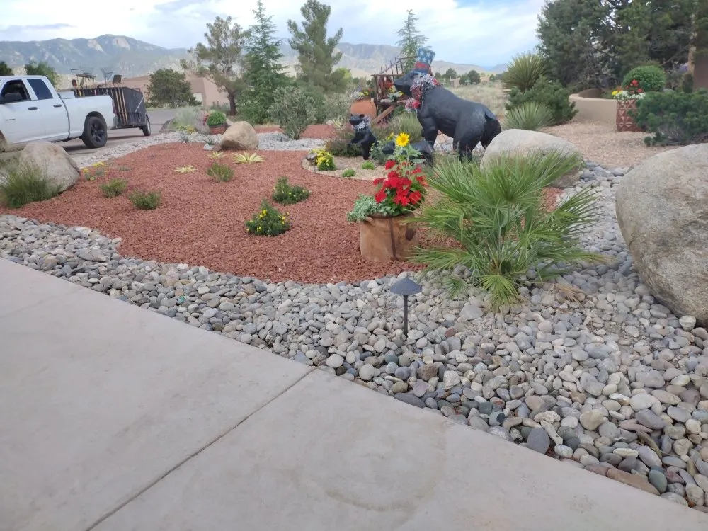 Custom yard cleanup service in Albuquerque, NM - Tony Soto
