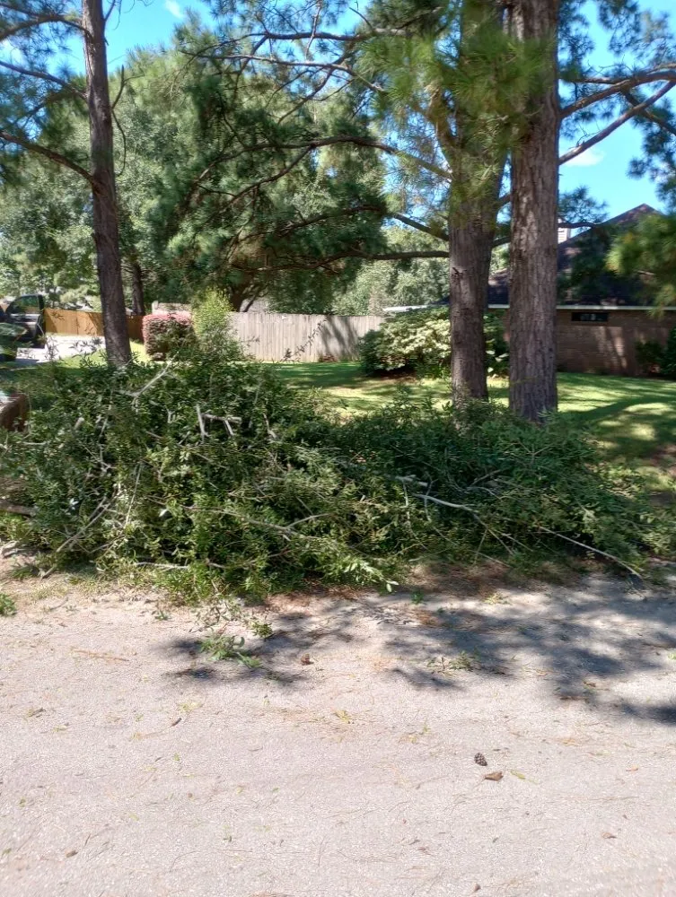 Professional landscaping services in Monticello, FL by Tony Ts Lawn Care of Florida