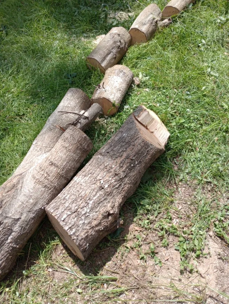 Reliable lawn care service in Monticello, FL - Tony Ts Lawn Care of Florida