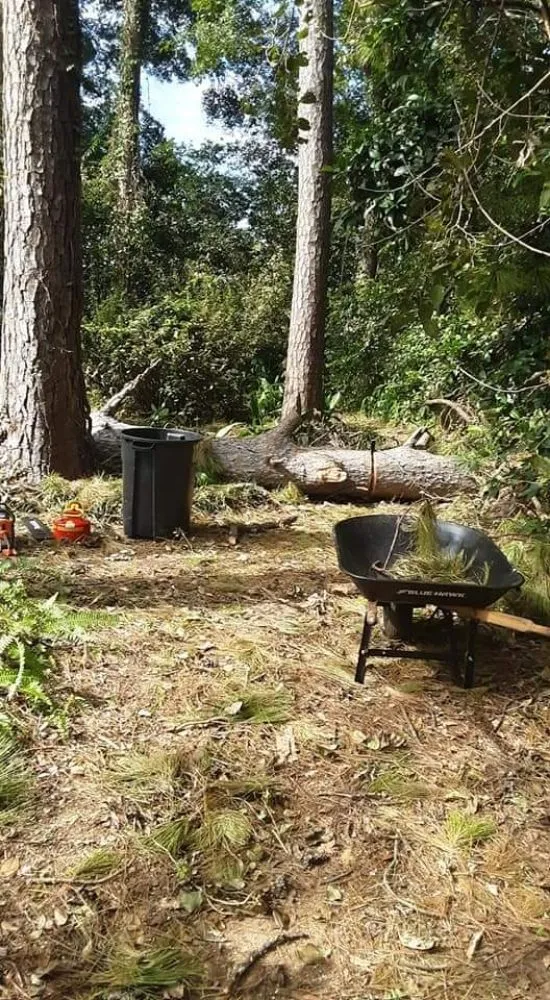 Top-rated landscape installation in Monticello, FL by Tony Ts Lawn Care of Florida