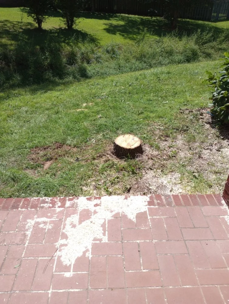 Professional lawn mowing service in Monticello, FL - Tony Ts Lawn Care of Florida