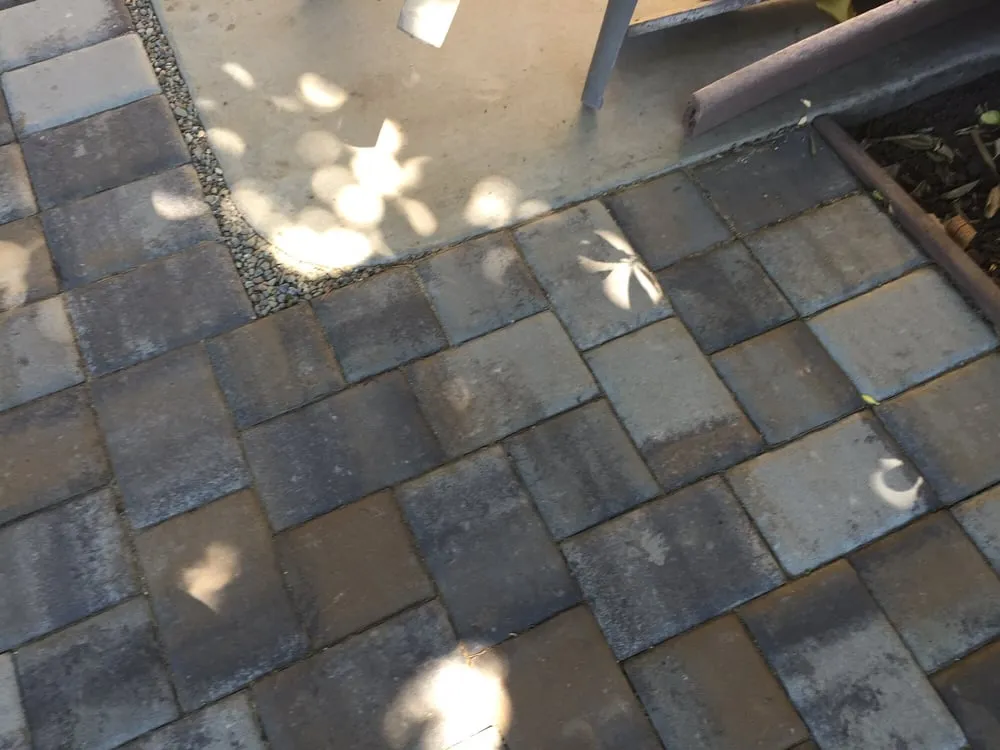 Professional lawn care service near you in San Francisco, CA by Tony's Complete Garden Service