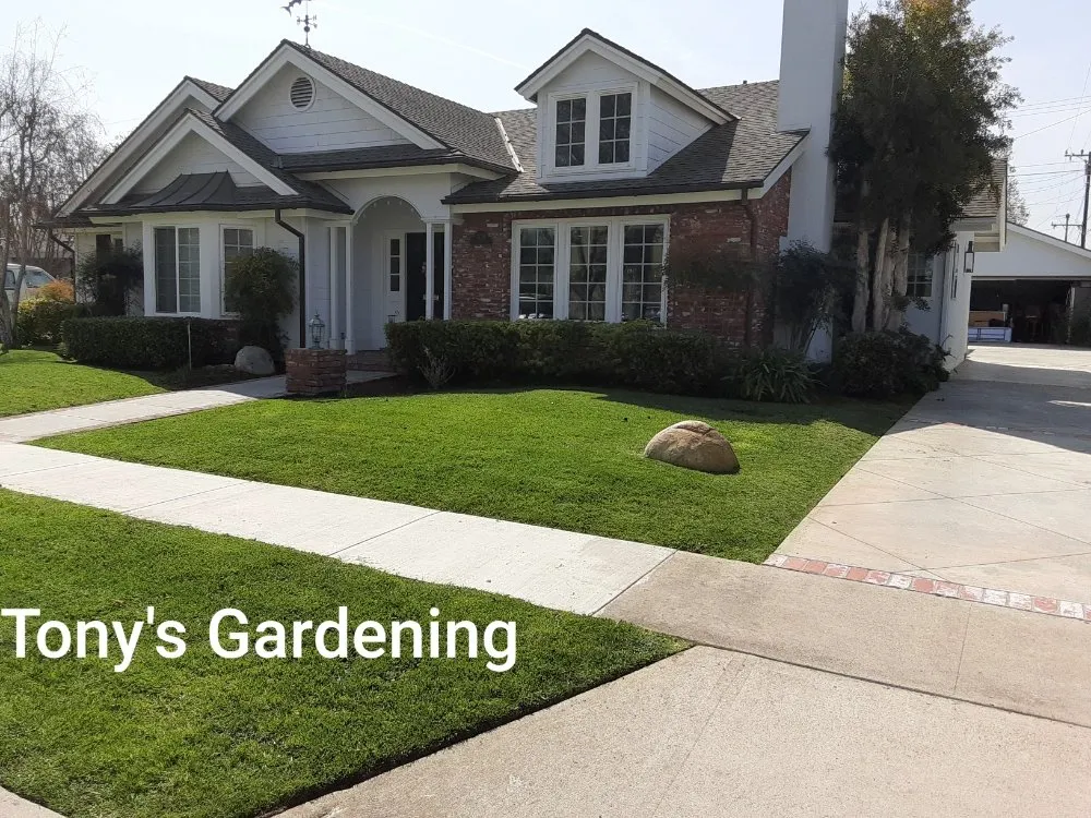 Local residential landscaping in Long Beach, CA by Tony's Gardening Services