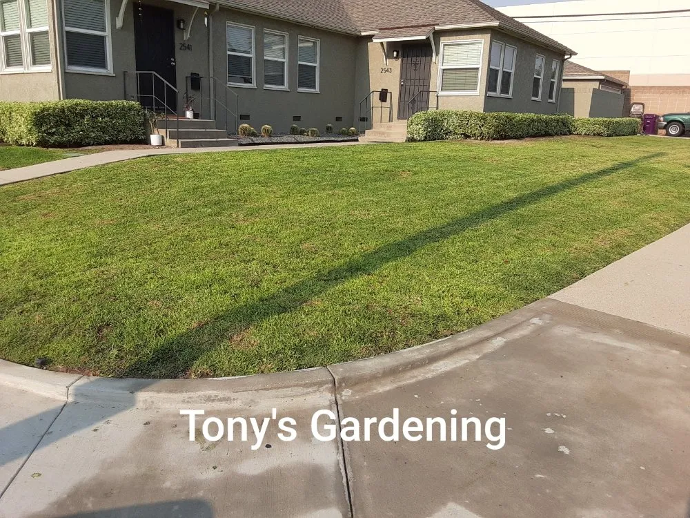 Professional yard cleanup service for outdoor upgrades in Long Beach, CA by Tony's Gardening Services
