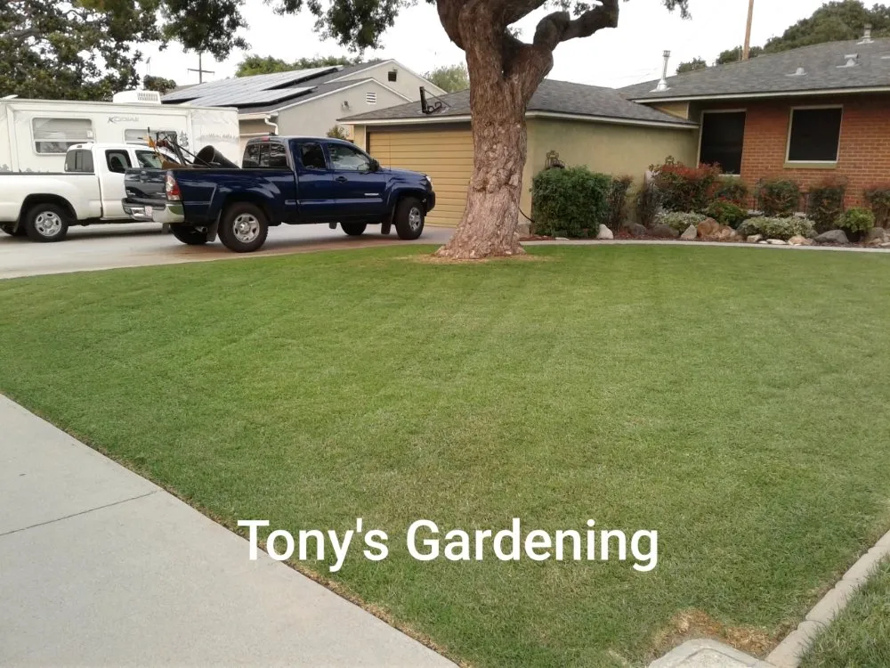 Affordable landscape installation for residential properties in Long Beach, CA by Tony's Gardening Services