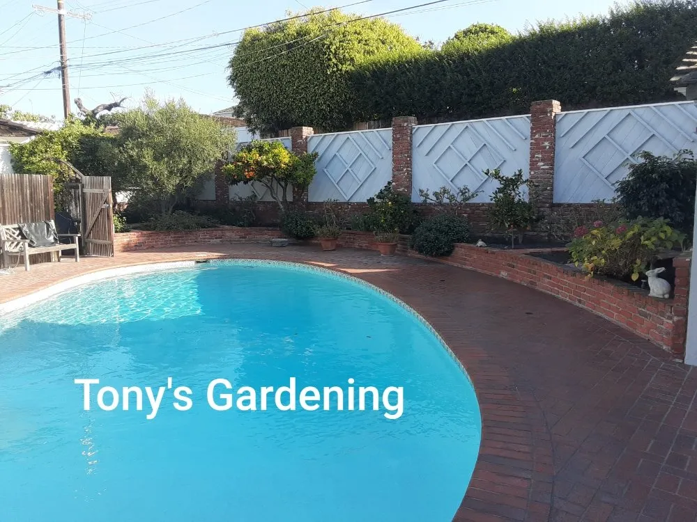 Affordable landscape installation for outdoor upgrades in Long Beach, CA by Tony's Gardening Services