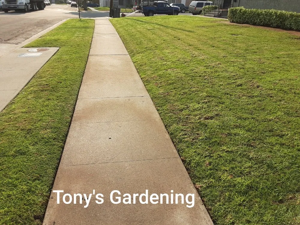 Trusted landscape design in Long Beach, CA by Tony's Gardening Services