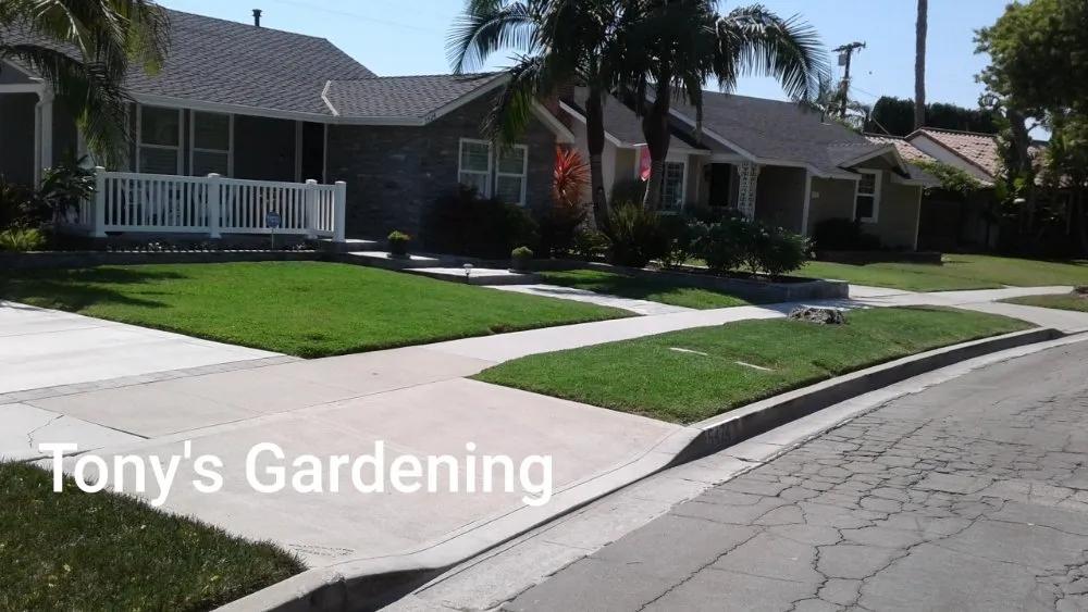 Local lawn mowing service for beautiful yards across Long Beach, CA - Tony's Gardening Services