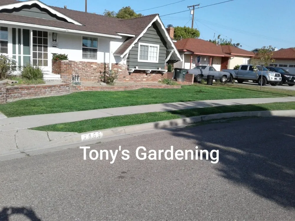 Affordable residential landscaping in Long Beach, CA by Tony's Gardening Services