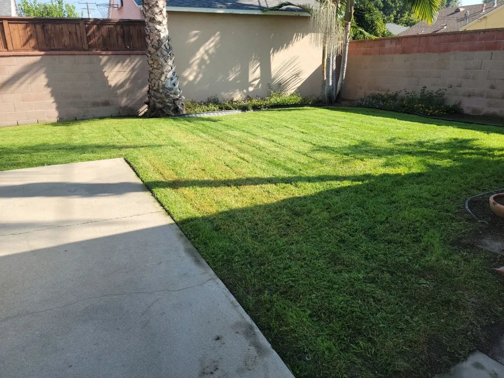 Expert landscape design for year-round maintenance in Long Beach, CA by Tony's Gardening Services