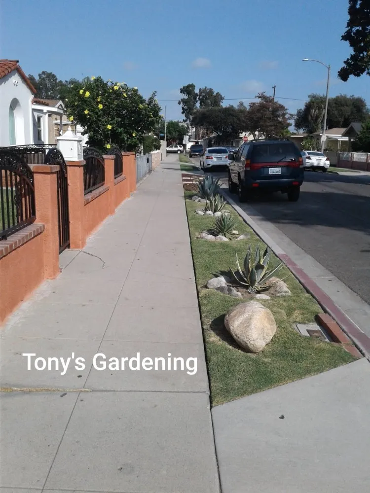 Reliable residential landscaping with custom design across Long Beach, CA - Tony's Gardening Services