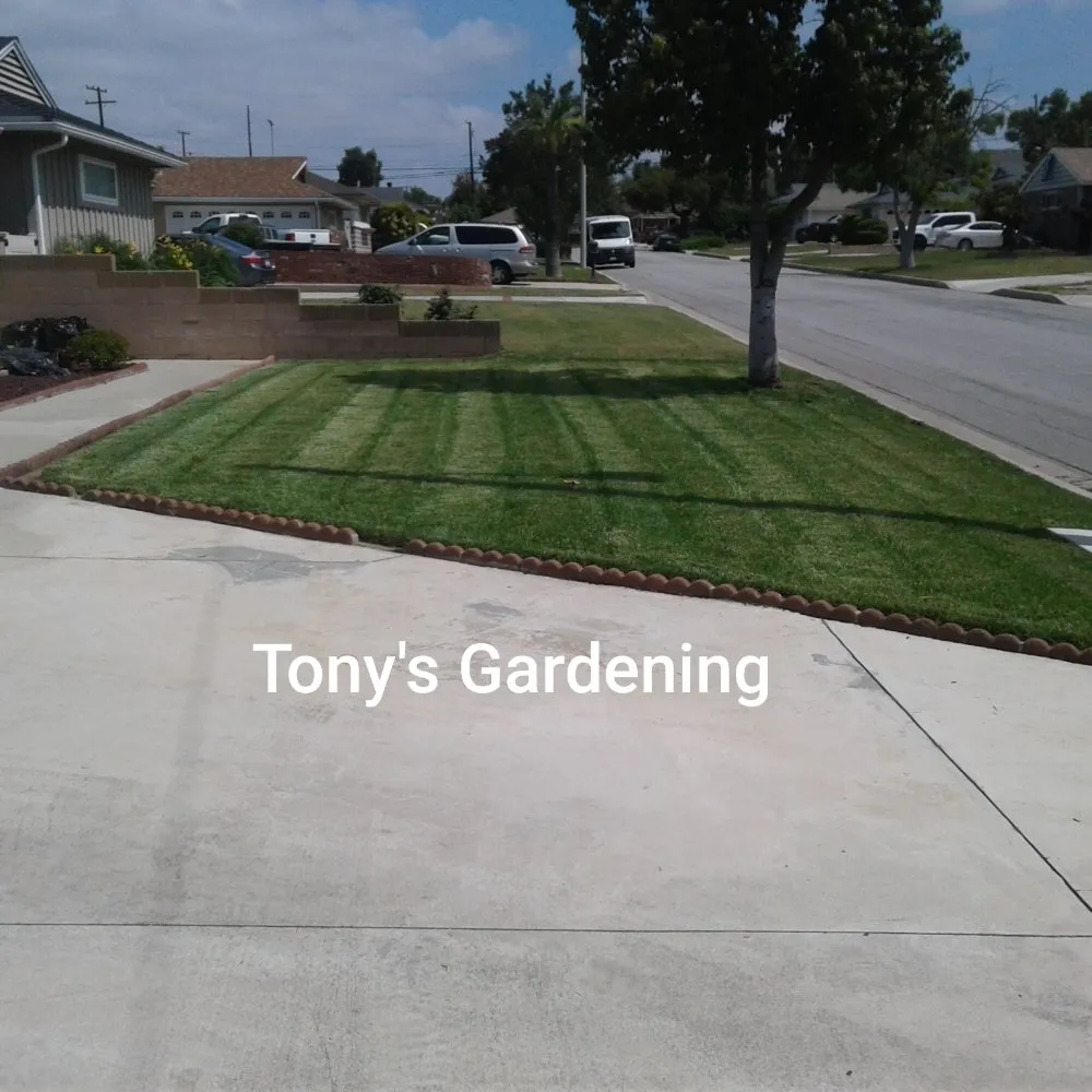Expert landscaping services for beautiful yards across Long Beach, CA - Tony's Gardening Services