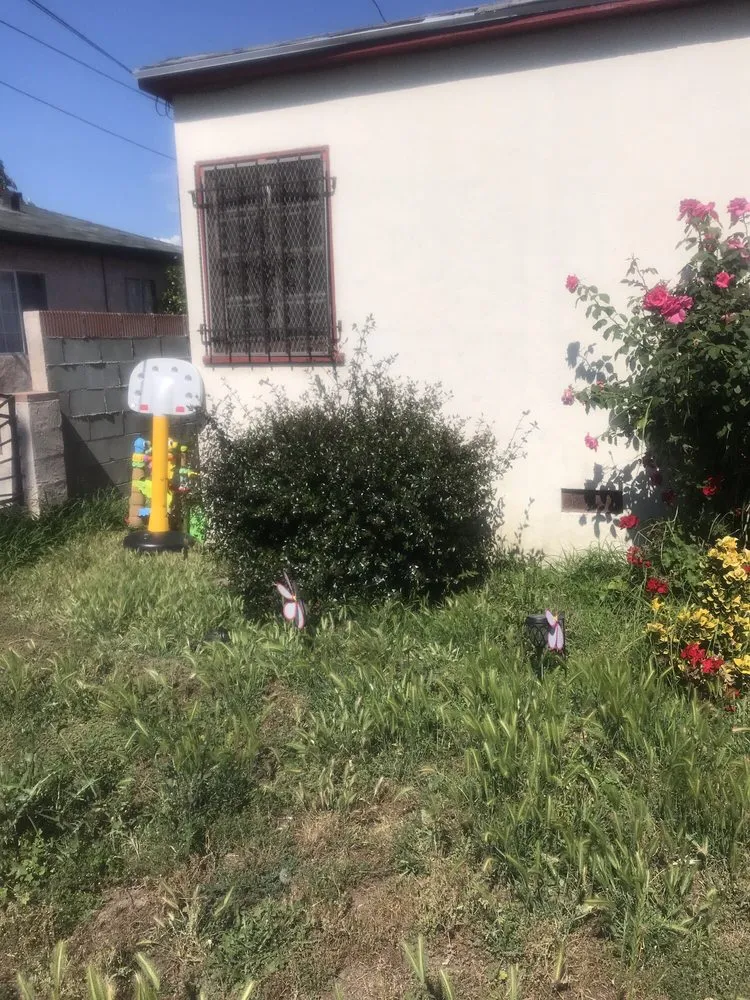 Expert lawn mowing service for year-round maintenance across Long Beach, CA - Tony's Gardening Services