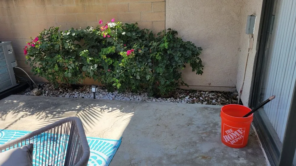 Expert lawn care service for homes across Long Beach, CA - Tony's Gardening Services