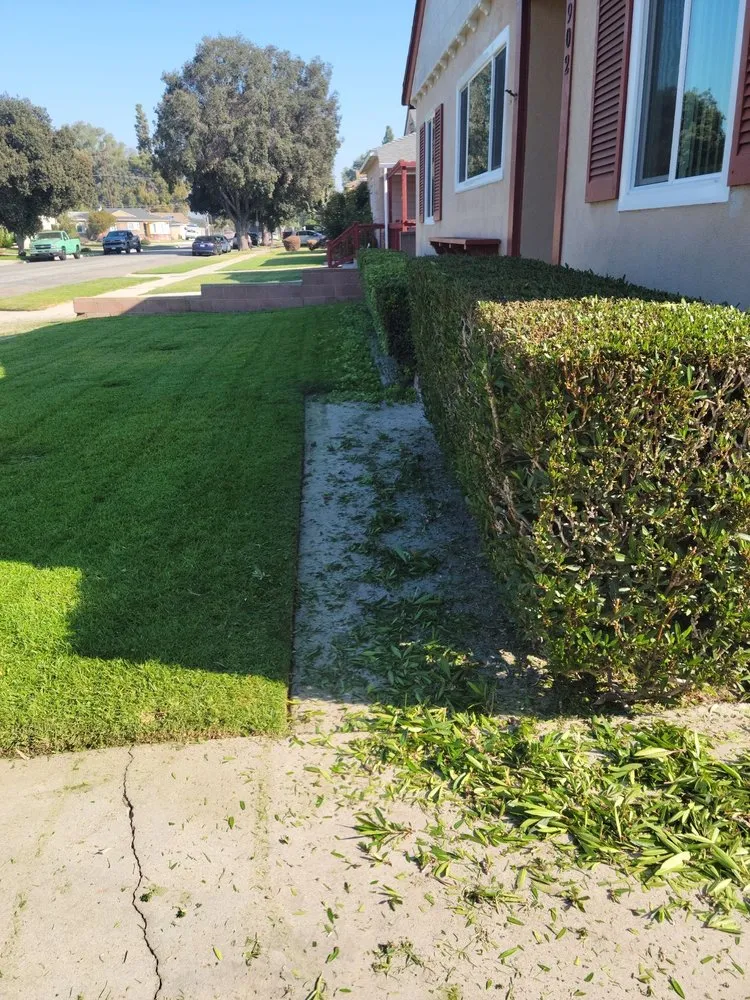 Reliable landscaping services experts serving Long Beach, CA - Tony's Gardening Services