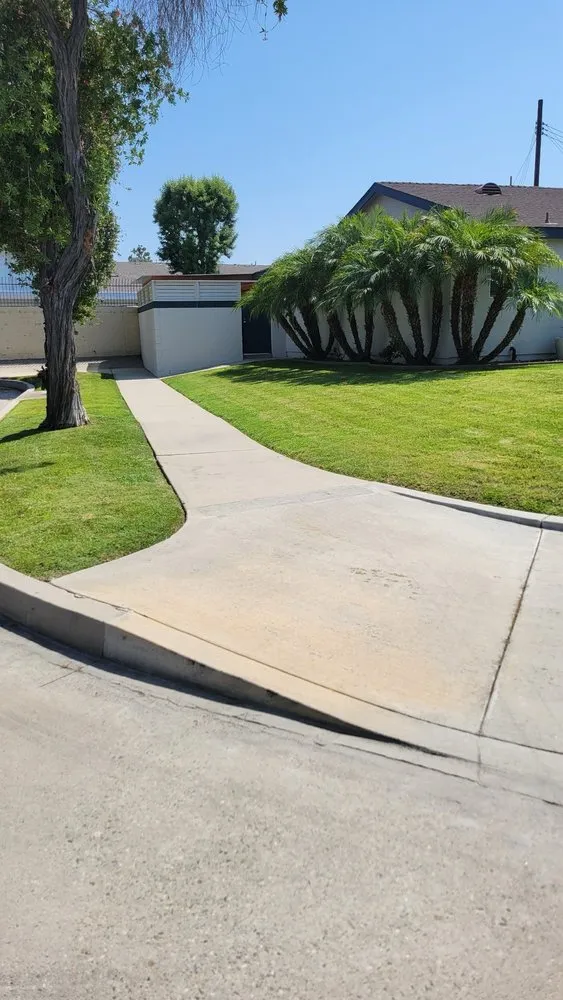 Affordable yard cleanup service in Long Beach, CA by Tony's Gardening Services