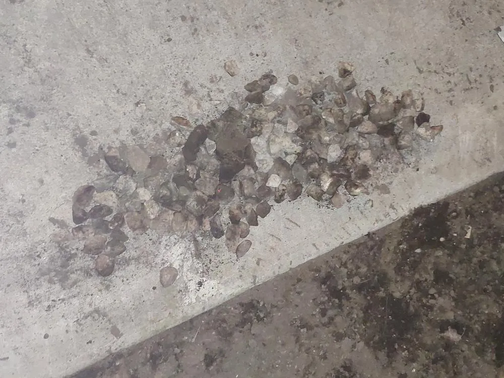 Professional residential landscaping in Long Beach, CA by Tony's Gardening Services