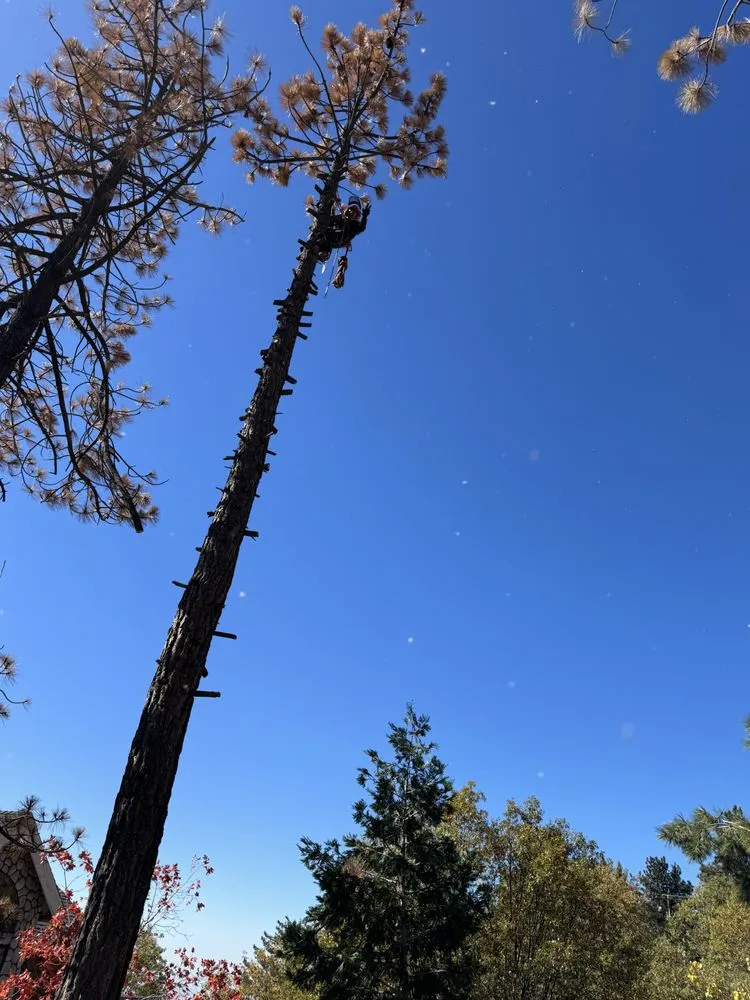 Affordable outdoor landscaping in Riverside, CA by Tony's Hardscape Design