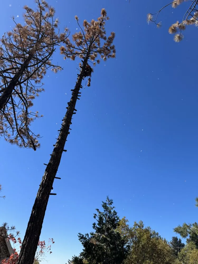Reliable landscape installation near you across Riverside, CA - Tony's Hardscape Design