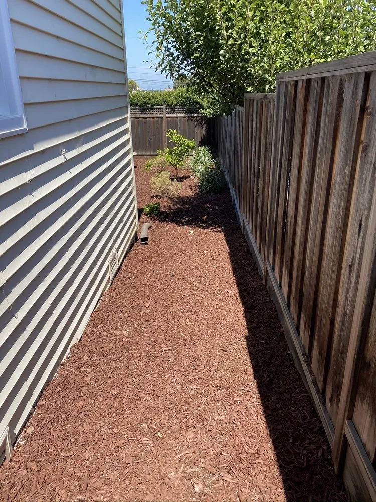 Custom lawn care service in Antioch, CA by Tonys Landscape & Gardening